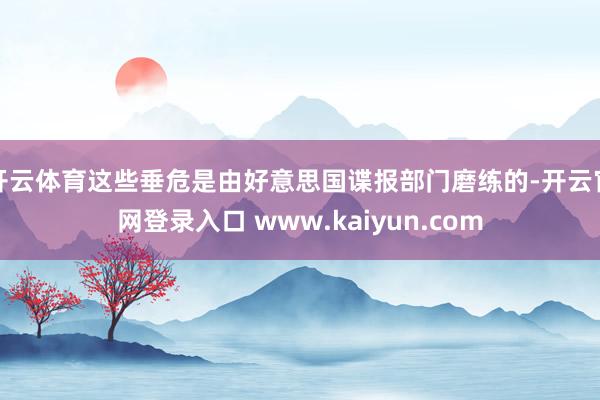 开云体育这些垂危是由好意思国谍报部门磨练的-开云官网登录入口 www.kaiyun.com